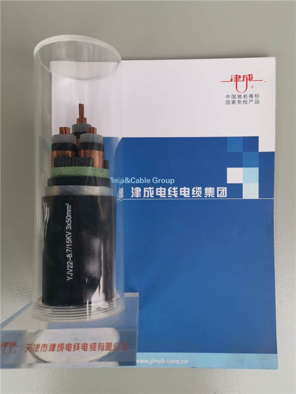 �����|�߉���|